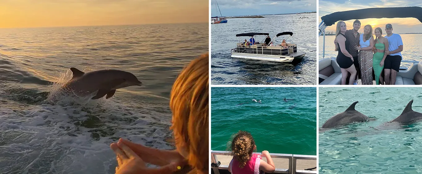 2 Hour Sunset Dolphin and Sightseeing Tour in Shell Island