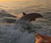 A dolphin is leaping out of the ocean waves near a boat at sunset while a person observes in the foreground