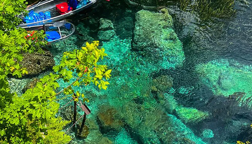 The image shows a clear and serene body of water with a kayak floating above and vibrant plant life visible both under the water and at the waters edge