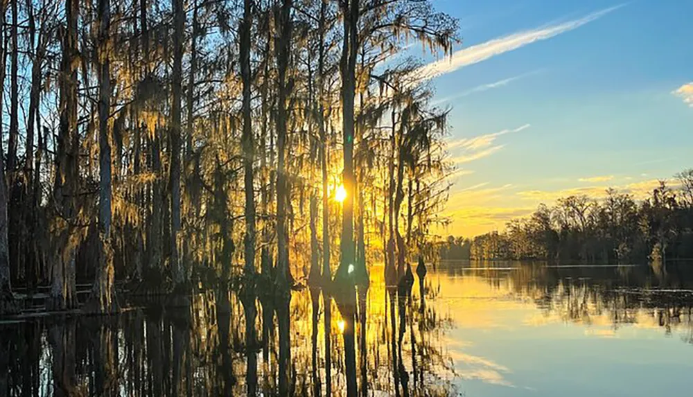 The image captures a serene sunset with the sun peeking through Spanish moss-draped trees and reflecting on the calm waters of a swamp