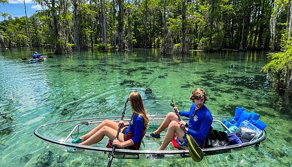 Two people in a clear kayak enjoy the scenic beauty of a crystal-clear freshwater spring surrounded by lush greenery