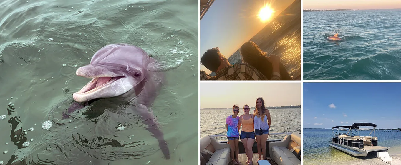 2 Hour Sunset Dolphin and Sightseeing Tour in Panama City Beach, Fl