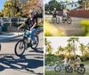 Two individuals are enjoying a sunny day while riding bicycles on a path with lush vegetation around them