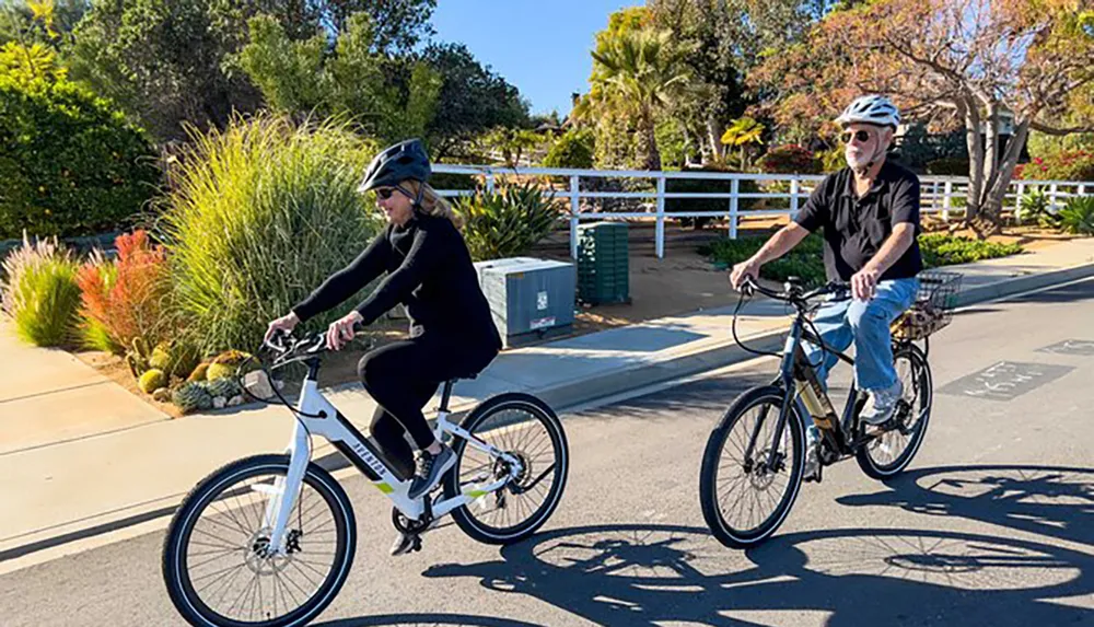 Two individuals are enjoying a sunny day while riding bicycles on a path with lush vegetation around them