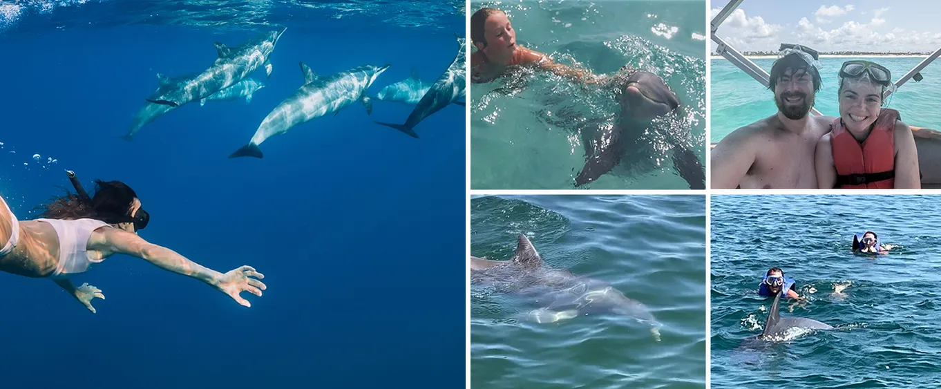2 Hours Swim with the Dolphins in Panama City