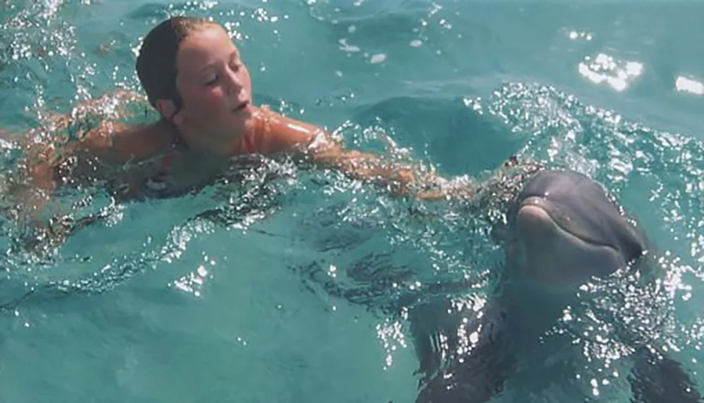 A person is swimming in clear blue water alongside a dolphin