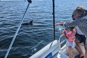 An adult and a child are pointing towards a dolphin near a boat on a sunny day.