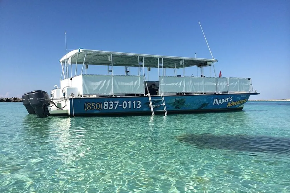 A pontoon tour boat named Flippers Adventures is floating on clear shallow water under a bright blue sky