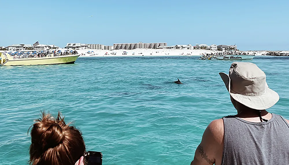 A person in a hat is watching a dolphin in the ocean with a crowded tour boat in the background