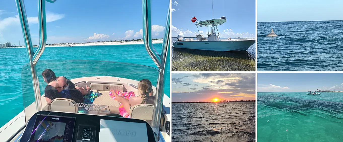 2-Hour Private Dolphin Sightseeing Adventure in Panama City