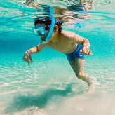 Snorkeling and Dolphin Watching Experience in Destin