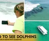 A person is photographing a dolphin leaping out of the water with a promotional text overlay guaranteeing dolphin sightings on a cruise in Destin