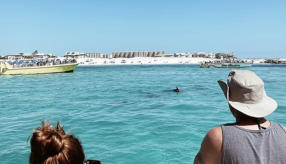 Spectators on a boat watch a dolphin leaping out of the turquoise water with a coastal cityscape in the background