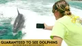 Destin Dolphin Cruise & Dolphin Tours Photo