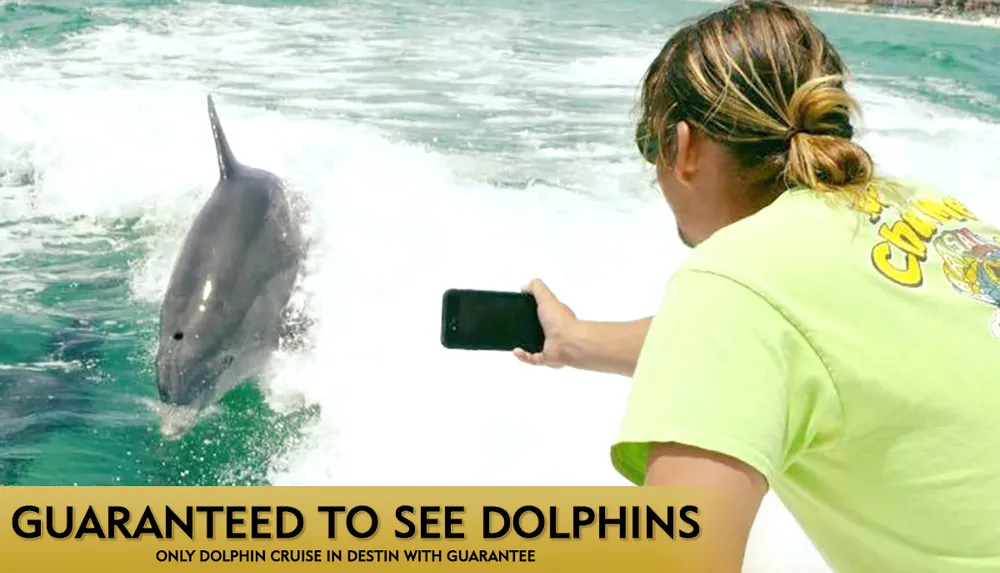 A person is photographing a dolphin leaping out of the water with a promotional text overlay guaranteeing dolphin sightings on a cruise in Destin