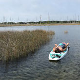 2 Hour Paddleboard Rental
