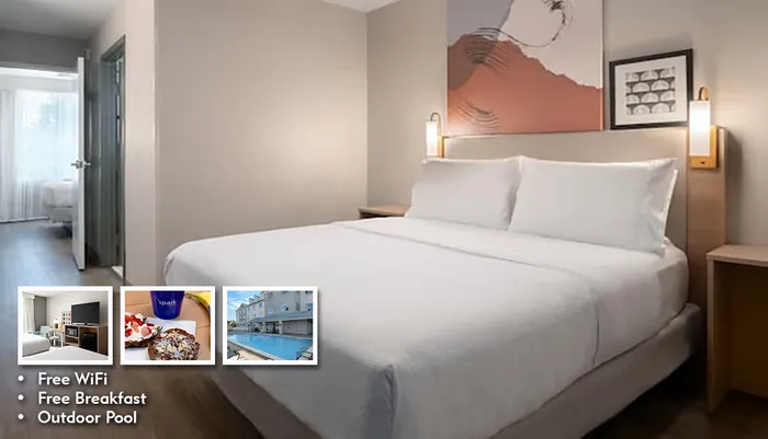 Spark by Hilton Destin Photo