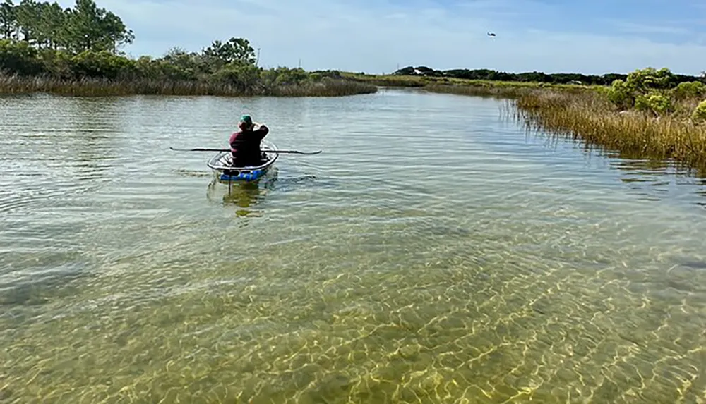 A person is kayaking in clear shallow water near a grassy shoreline under a blue sky