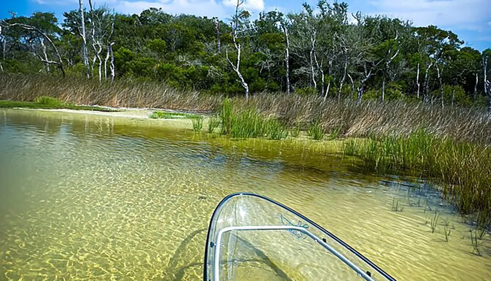 The image shows a clear shallow body of water with the front end of a transparent canoe visible set against an idyllic backdrop of trees and reeds