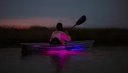 Popular Adventures