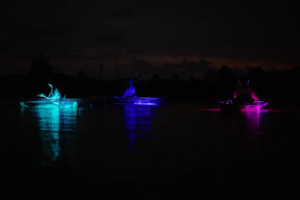 Three people are kayaking at night illuminated by vibrant blue and purple lights that reflect beautifully on the waters surface