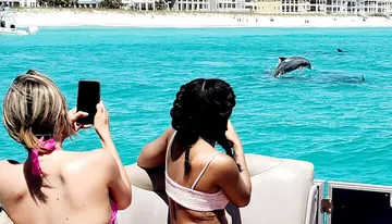 Two people are photographing a dolphin leaping out of the turquoise waters near a beach from a boat.