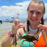3 Hour Crab Island and Harbor Tour from Destin Non-Private