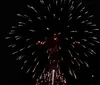 A girl smiles for the camera with a man beside her while other people watch fireworks at night