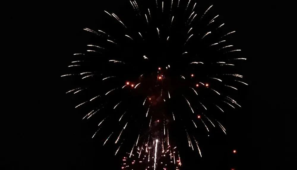 The image captures fireworks exploding against a dark night sky