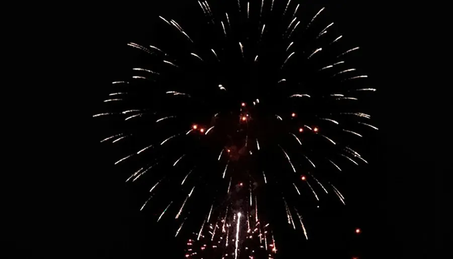 The image captures fireworks exploding against a dark night sky.