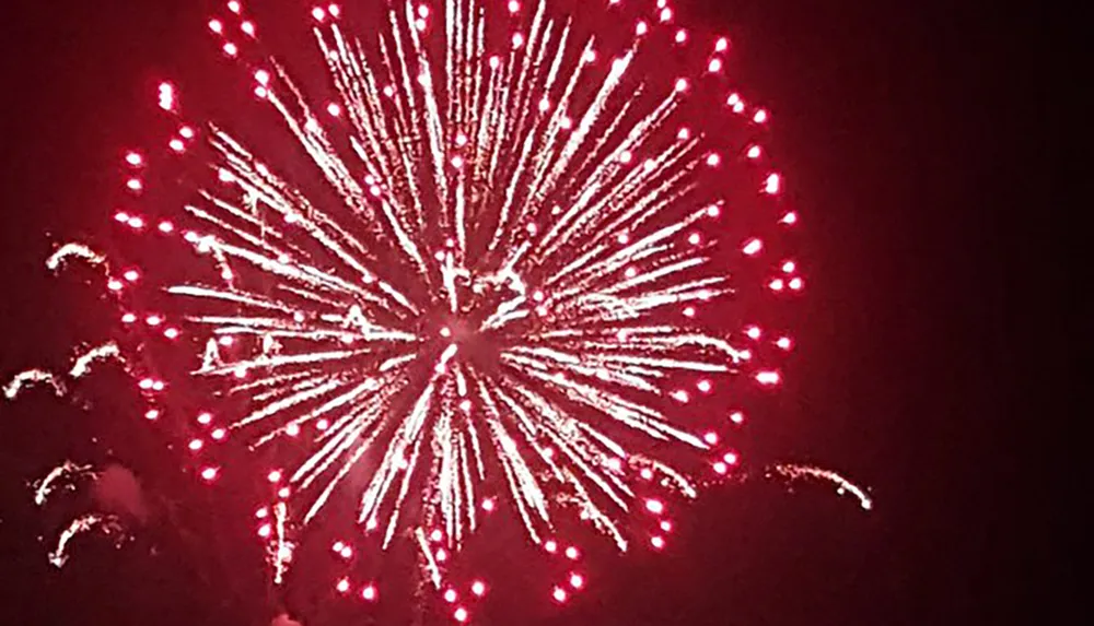 A vibrant red firework bursts against a dark sky creating a dazzling display of light