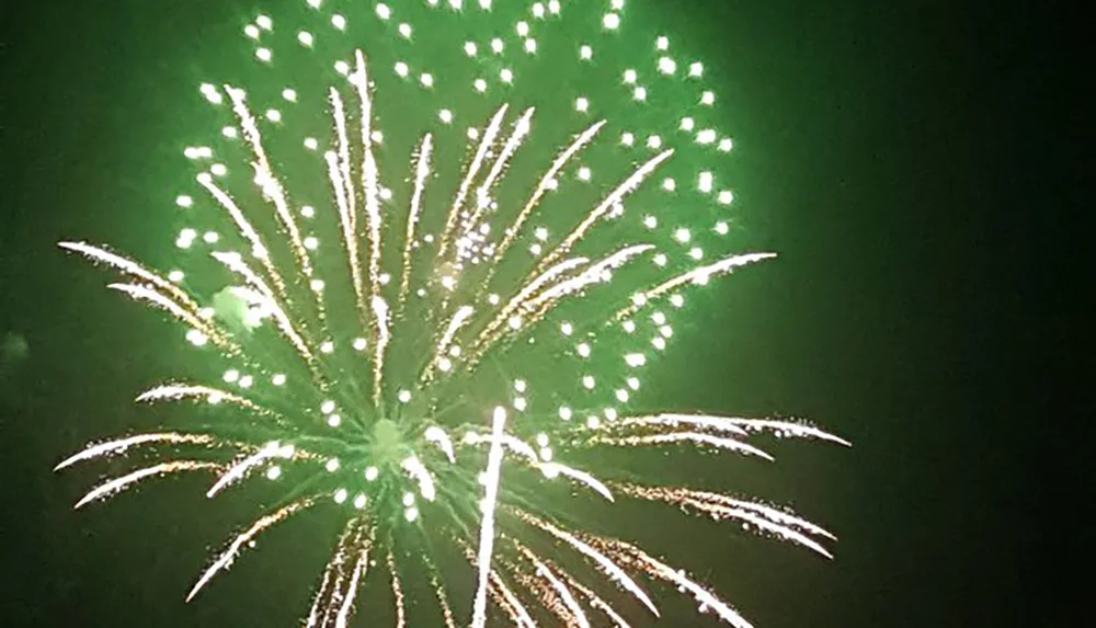 The image captures a vibrant green and gold firework exploding against a dark night sky