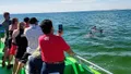 Hydrojet Dolphin Cruise in Destin Photo