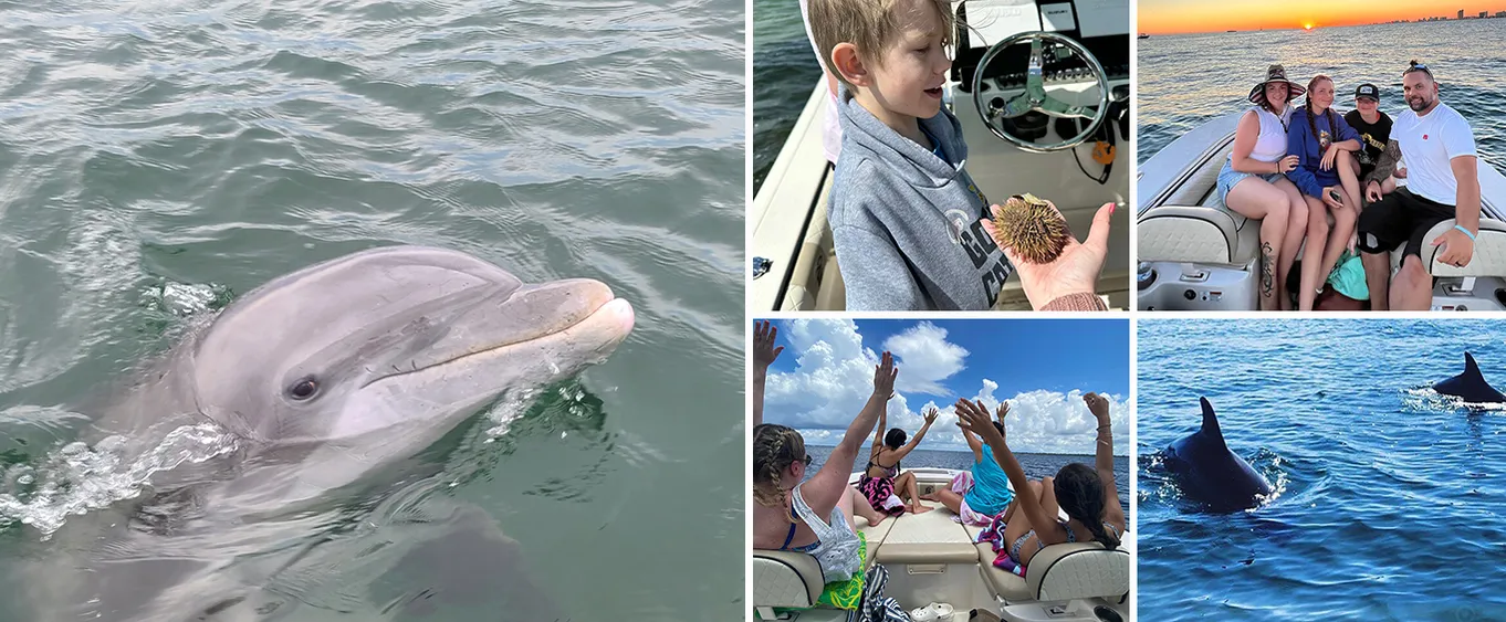 2 Hour Dolphin Sightseeing and Boat Tour in Panama City Beach