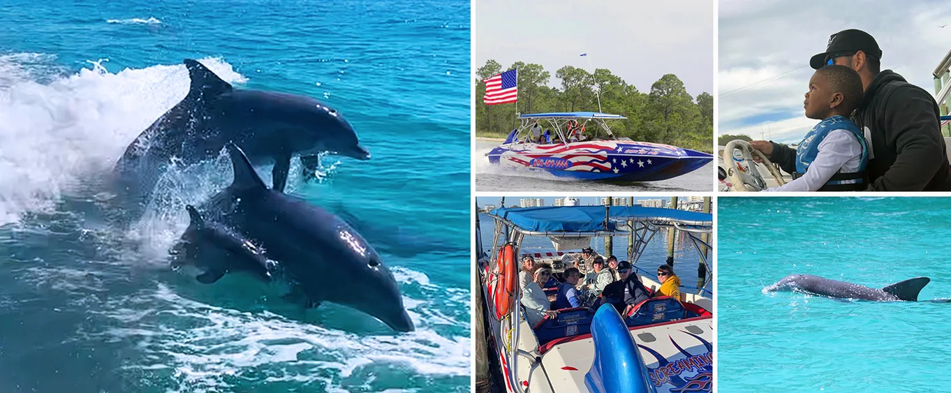 1-Hour Private Dolphin Spotting Thrill Ride in Destin