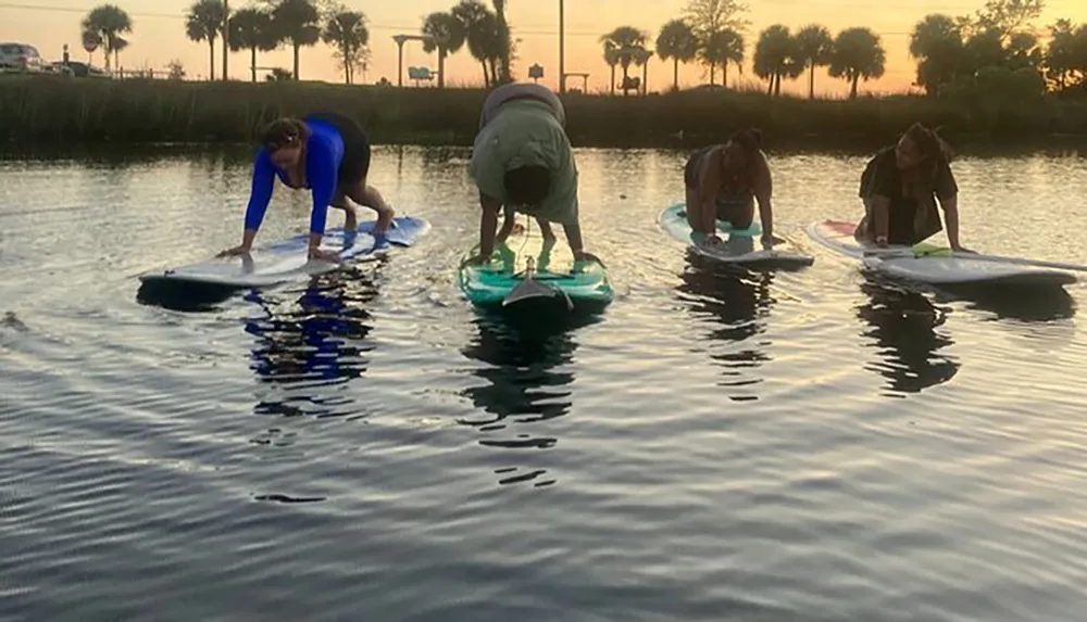 A group of individuals are practicing paddleboard yoga on a calm body of water at sunset