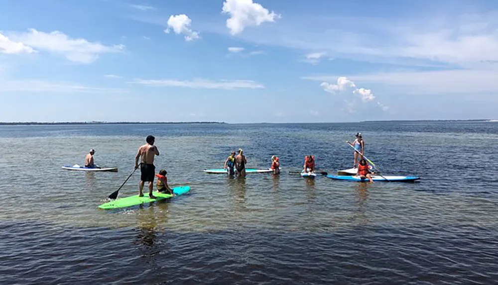 A group of people enjoys paddle boarding on a calm body of water on a sunny day