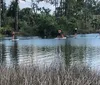 A person is paddleboarding on calm water with lush greenery in the background