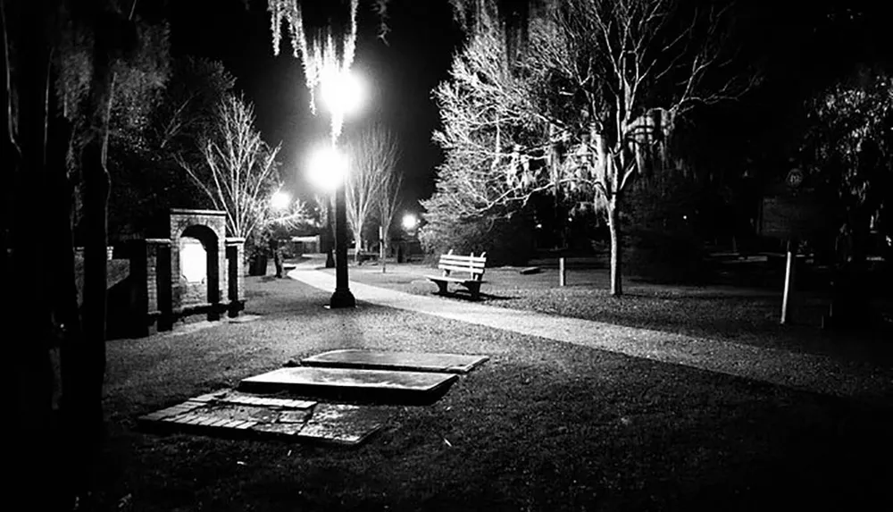 The image depicts a black and white scene of an empty park at night illuminated by street lights casting long shadows on the pathways