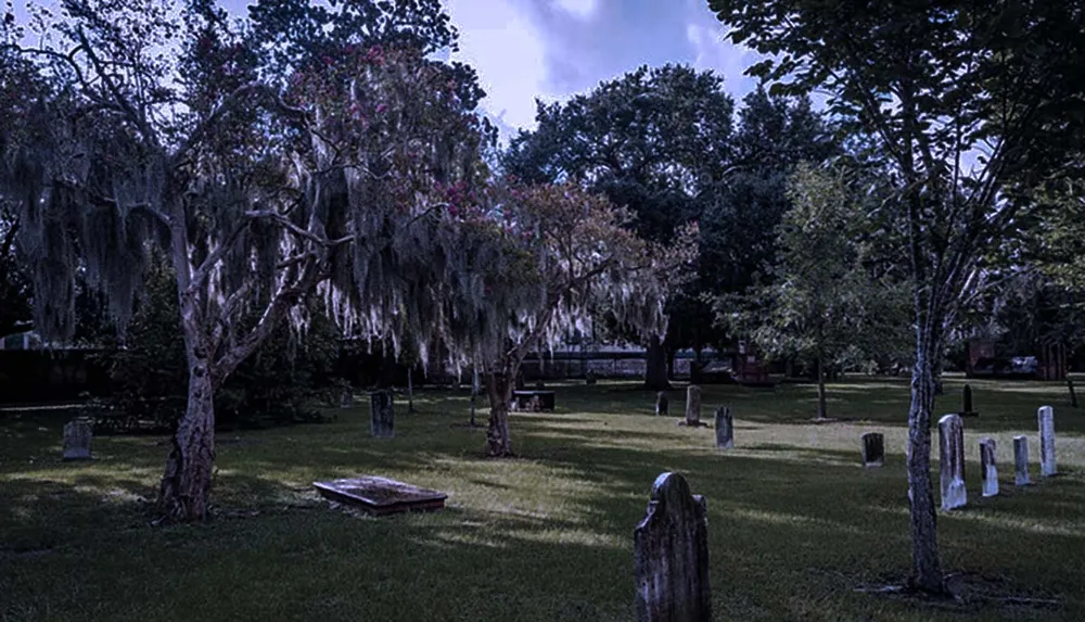 The image shows a moody atmospheric graveyard with Spanish moss-draped trees and old tombstones suggesting a sense of haunting tranquility
