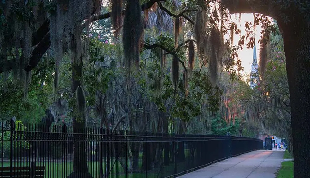 A serene walkway flanked by a wrought iron fence and moss-draped trees bathed in the soft light of dusk