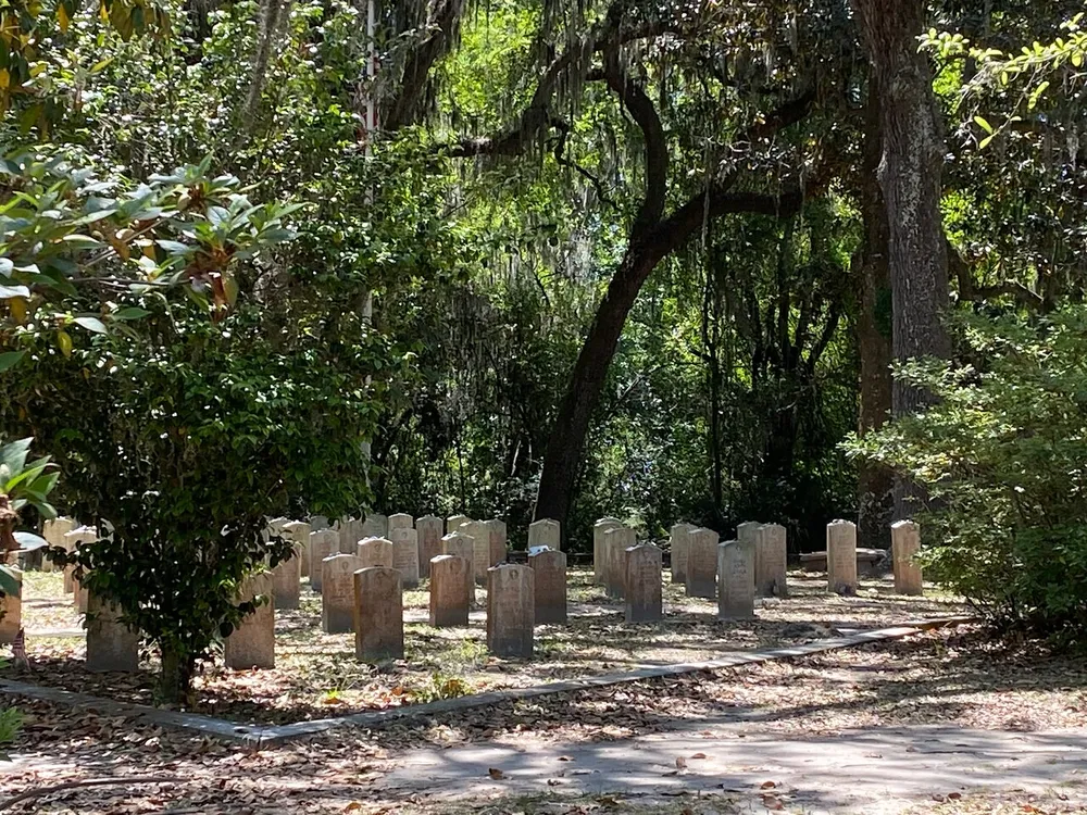 The image depicts a peaceful sunlit cemetery with uniform headstones among lush greenery and Spanish moss-draped trees