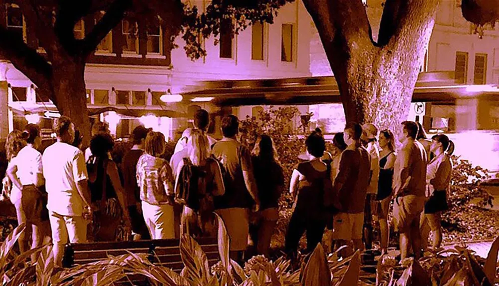 A group of people is standing outdoors at nighttime in a location with trees and buildings illuminated by a warm sepia-toned light