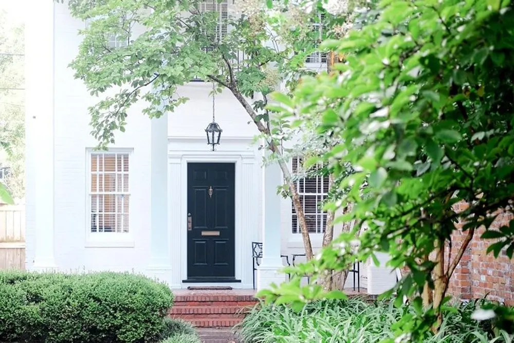 The image shows a charming white house with a black front door flanked by windows and surrounded by greenery and trees emanating a cozy welcoming atmosphere