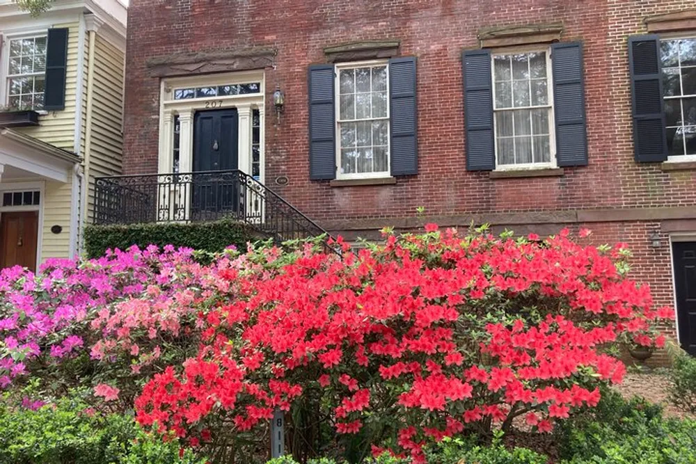 The image shows a traditional brick house with black shutters and a black front door complemented by a vibrant display of red and purple azalea bushes in bloom in the front yard