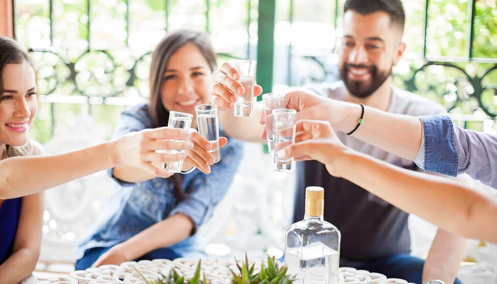 Three people are cheerfully toasting with shot glasses at a sunlit table with a bottle of transparent liquid likely alcohol in the foreground