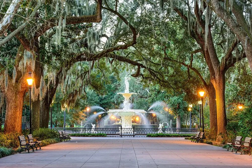 This image features an elegant fountain surrounded by lush green trees draped with Spanish moss illuminated by warm street lamps at twilight