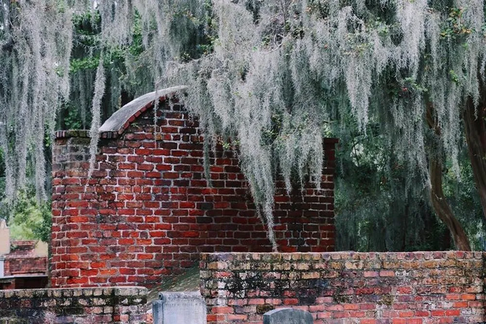Spanish moss drapes gracefully from tree branches over an aged brick structure with a curved archway