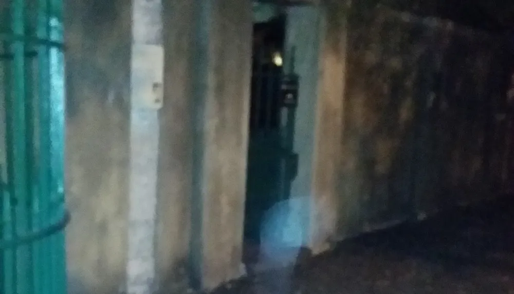 The image is a blurry night-time shot of what appears to be an outdoor or semi-enclosed area with metal bars on the left and a faint light source illuminating from the distance