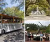 Collage for the Savannah Experience Sightseeing Bus Tour of the Historic and Victorian Districts